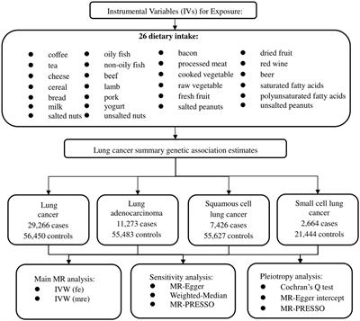 Associations between diet and incidence risk of lung cancer: A Mendelian randomization study